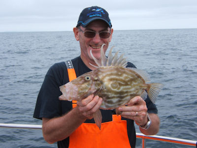 John Dory