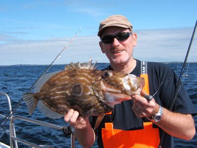 John Dory